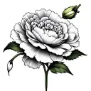 carnation and snowdrop flower intertwined tattoo design idea