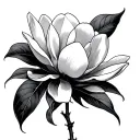 Magnolia tattoo design idea
