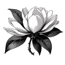 Magnolia tattoo design idea