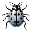Ladybug tattoo design idea
