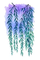 weeping Willow branches tattoo design idea