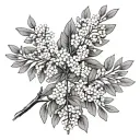 Wattle tattoo design idea