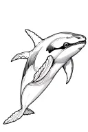 killer whale tattoo design idea