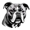 Angry Pitbull tattoo design idea