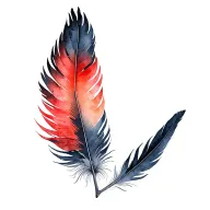 male red tailed black cockatoo tail feather alongside female red tailed black cockatoo tail feather , crossed quills tattoo design idea