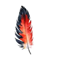 male red tailed black cockatoo tail feather alongside female red tailed black cockatoo tail feather , crossed quills tattoo design idea