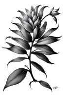 kangaroo paw flower tattoo design idea