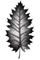 aspen leaf black oak leaf giant sequoia needles tattoo design idea