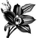 Cattleya Trianae tattoo design idea