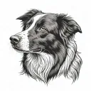 border collie tattoo design idea