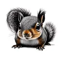 Squirrel tattoo design idea