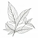 long  leaf plain tattoo design idea