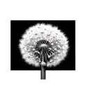 dandelion flower tattoo design idea