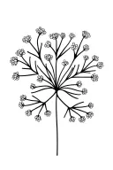 very tiny baby's breath flower pattern with NO leaves tattoo design idea