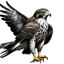 Red Tailed Hawk tattoo design idea