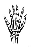 anatomically correct left hand bones  tattoo design idea