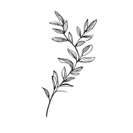 olive branch tattoo design idea