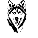 husky tattoo design idea