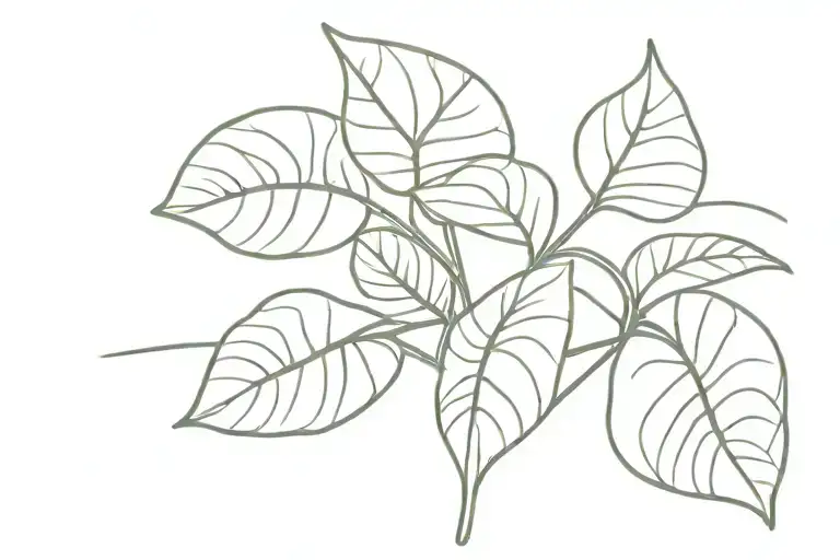 Swiss cheese plant vine wrapping tattoo design idea