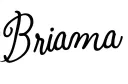 "Brianna" tattoo design idea