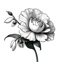 Carnation And Snowdrop tattoo design idea