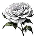 Carnation And Snowdrop tattoo design idea