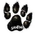 cat paw print with the name santino under the paw print tattoo design idea