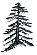 baltic pine tree tattoo design idea