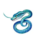 Twin Snake intertwined tattoo design idea