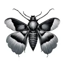 moth tattoo design idea