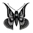 moth tattoo design idea
