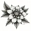 a black and white dahlia flower. tattoo design idea