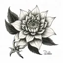 a black and white dahlia flower. tattoo design idea