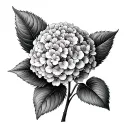 Hydrangea tattoo design idea