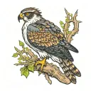 osprey bird tattoo design idea