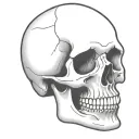 simple skull outlined resting on table tattoo design idea