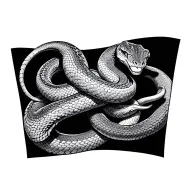 snake wrapped tattoo design idea