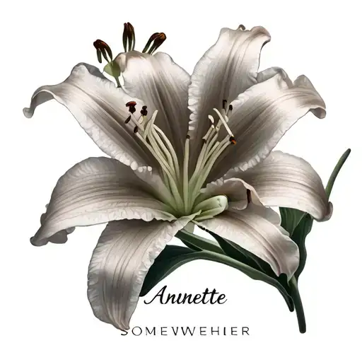 A double stargaze lily with the stem and blossoming flowers. The name Annette somewhere around the flower. The initials  tattoo design idea