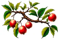 tree branch with crabapple tattoo design idea