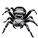 Jumping Spider tattoo design idea