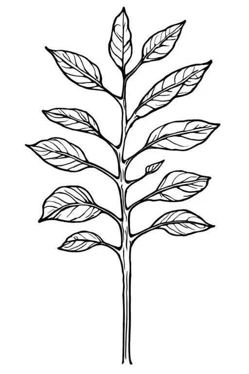 Fiddle leaf fig tree tattoo design idea