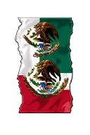 Texas money Mexico flag tattoo design idea
