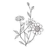 vine wrapping with marigolds, daffodils and daisies in just black and fine lines tattoo design idea