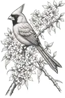 cardinal bird on a wisteria branch tattoo design idea