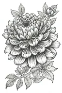 CHRYSANTHEMUM ASTER MARIGOLD tattoo design idea