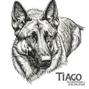 half belgian malinois face with Tiago written through it tattoo design idea
