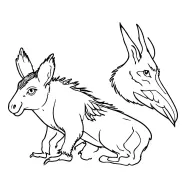 donkey hawk and bobcat tattoo design idea