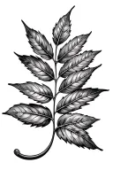 leafs bay leaf tattoo design idea