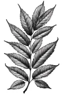 leafs bay leaf tattoo design idea