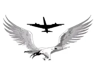 A plane and ist shadow, the German eagle, in flight tattoo design idea